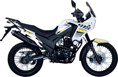 MS250