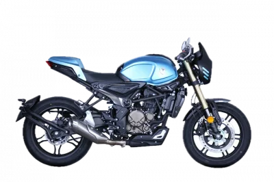 Мотоцикл VOGE AC300T